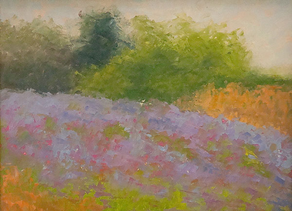 Landscape: Sonoma Lavender II